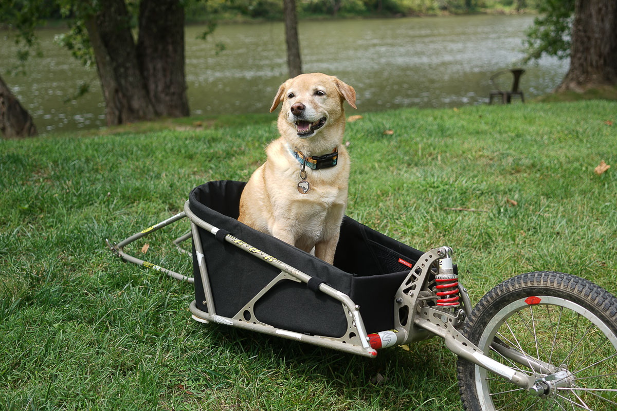 BOB trailer foam insert Dogpacking Rockgeist