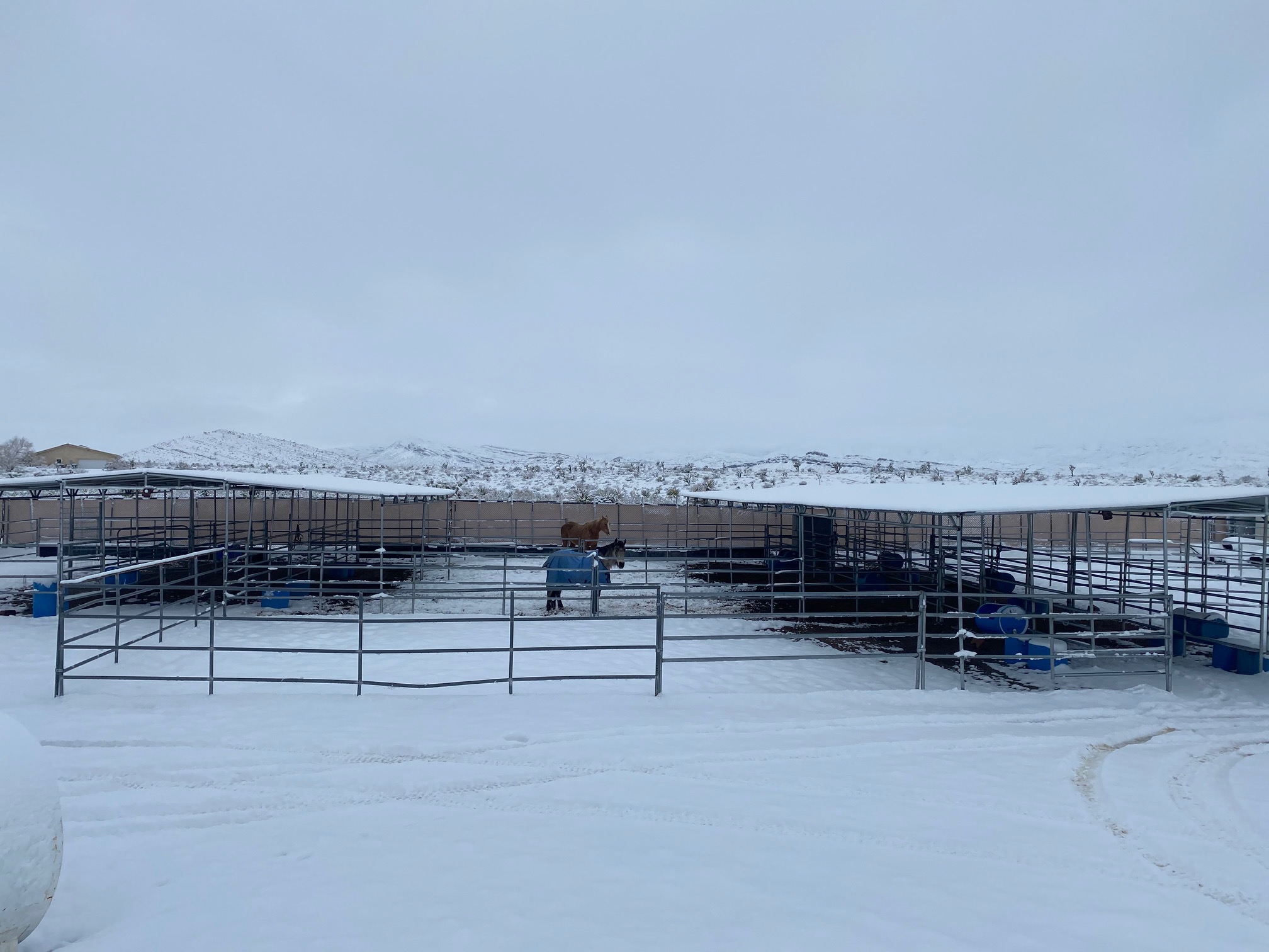Rocking H Ranch Horse Boarding Las Vegas Las Vegas Horse Ranch