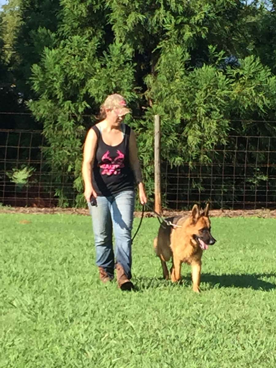 Professional Dog Training in South Carolina SC Dog Training Programs