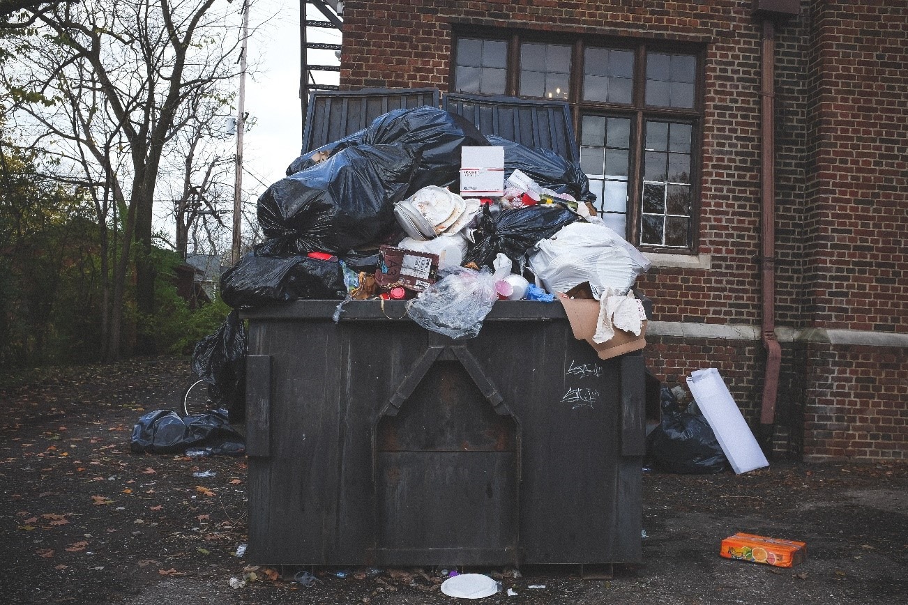 What Day Does The Trash Go Out at Sierra Roby blog
