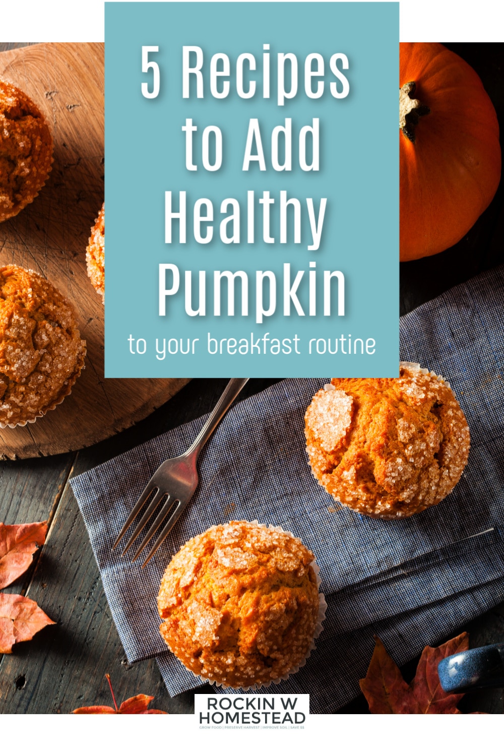 5 Recipes to Add Healthy Pumpkin to Your Breakfast Rockin W Homestead