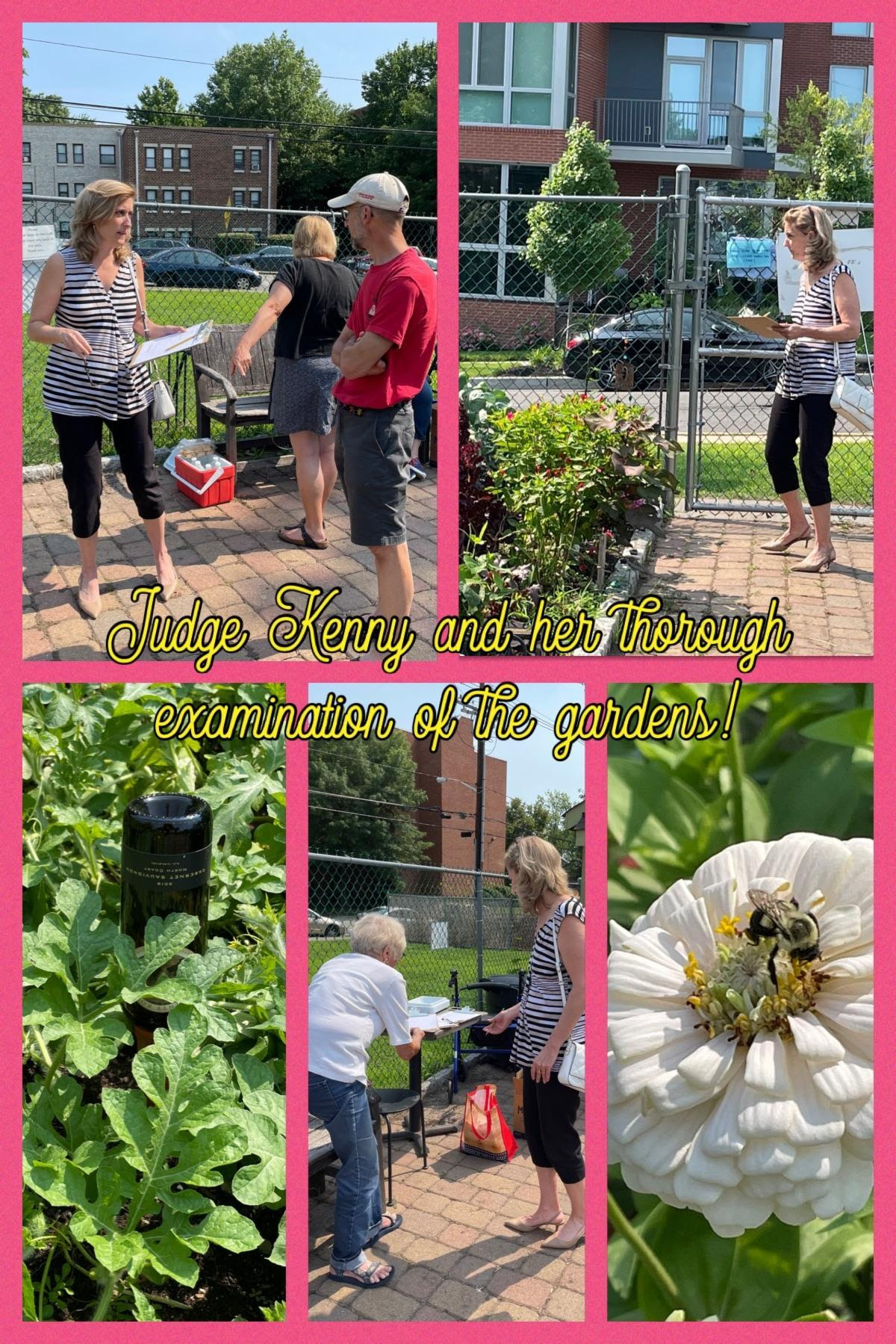 Nyack Community Garden host annual garden contest Rockland News It