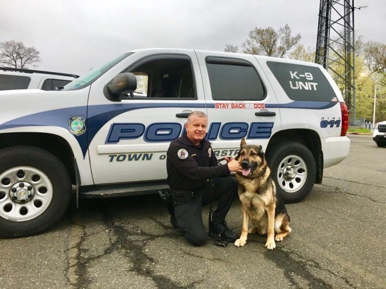 Haverstraw PD announce the passing of the departments first K9, Chase