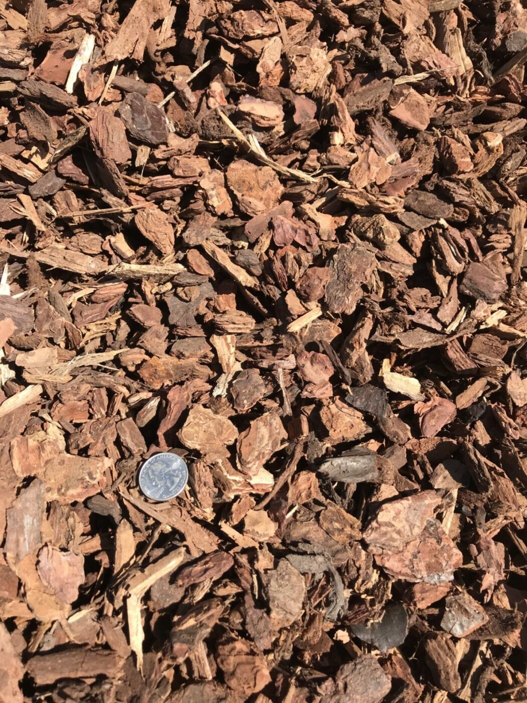 Supreme Walk On Natural Chunk Bark Bark and Mulch, Mulch Delivery
