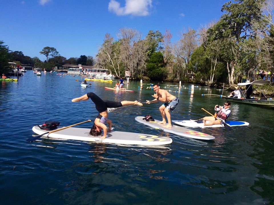 Crystal River Stand up Paddleboard Rental Rockon Recreation Rentals