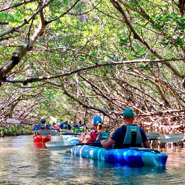 Shell Key Preserve Kayak Tour St. Petersburg Rockon Recreation Rentals