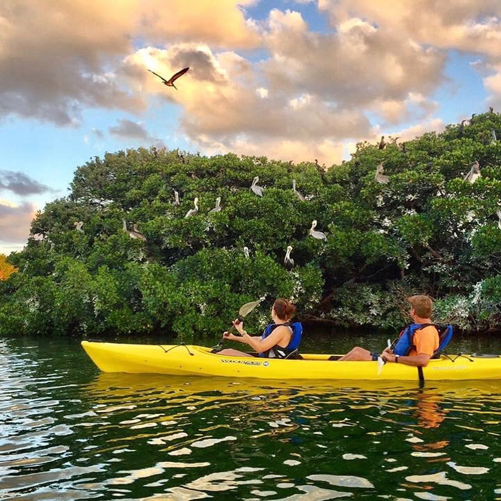 Twilight Kayak Tours St. Petersburg Rockon Recreation Rentals