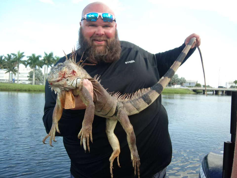 Ultimate Guide to Iguana Hunting Florida