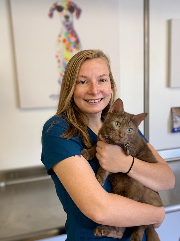 Our Team Rock Road Animal Hospital