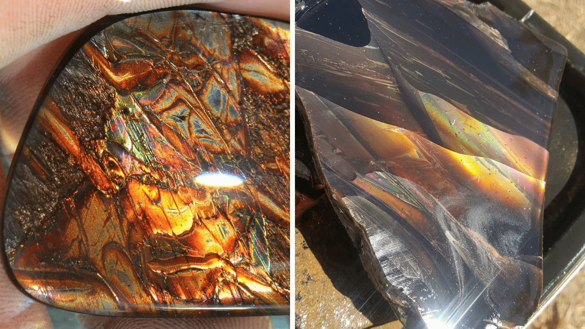 What is the Rarest and Most Expensive Type of Obsidian? Rock Seeker