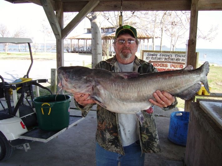 Rocks Pond Campground & Marina Photos