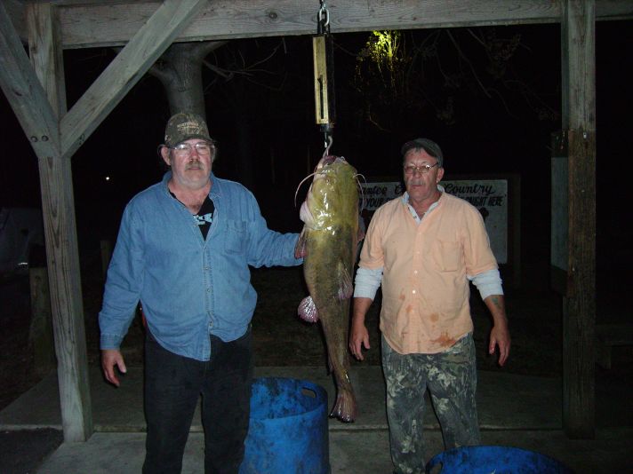 Rocks Pond Campground & Marina Photos