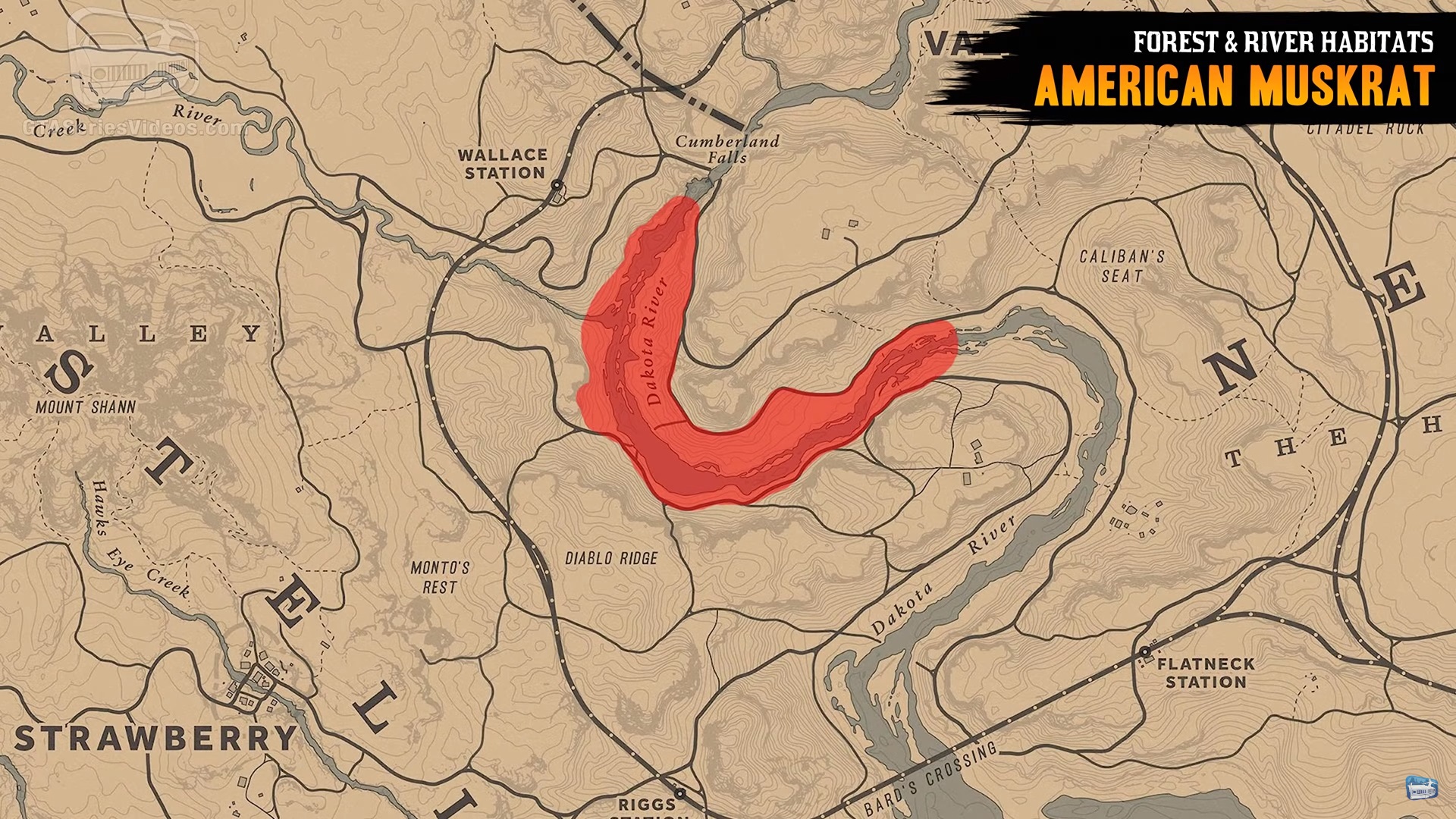 Где искать обитателей рек и лесов в Red Dead Online?