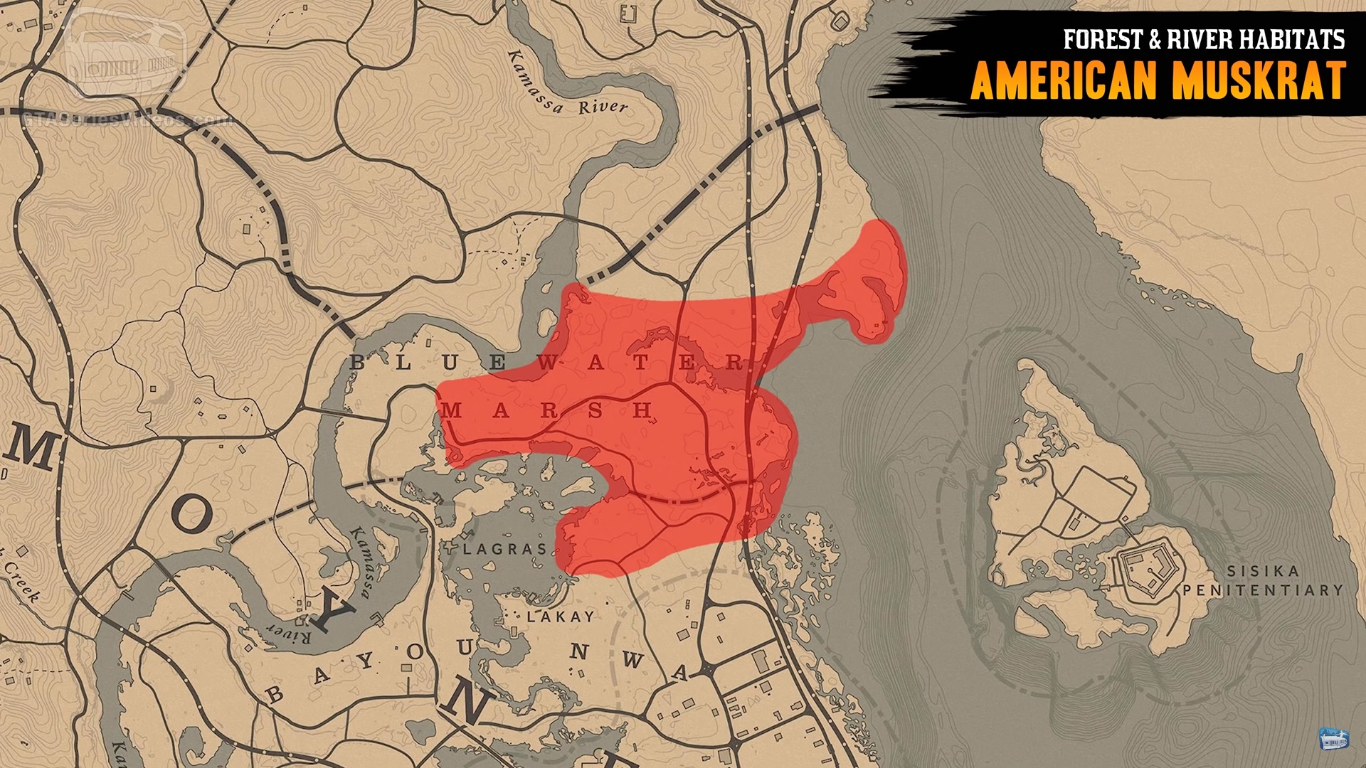 Где искать обитателей рек и лесов в Red Dead Online?