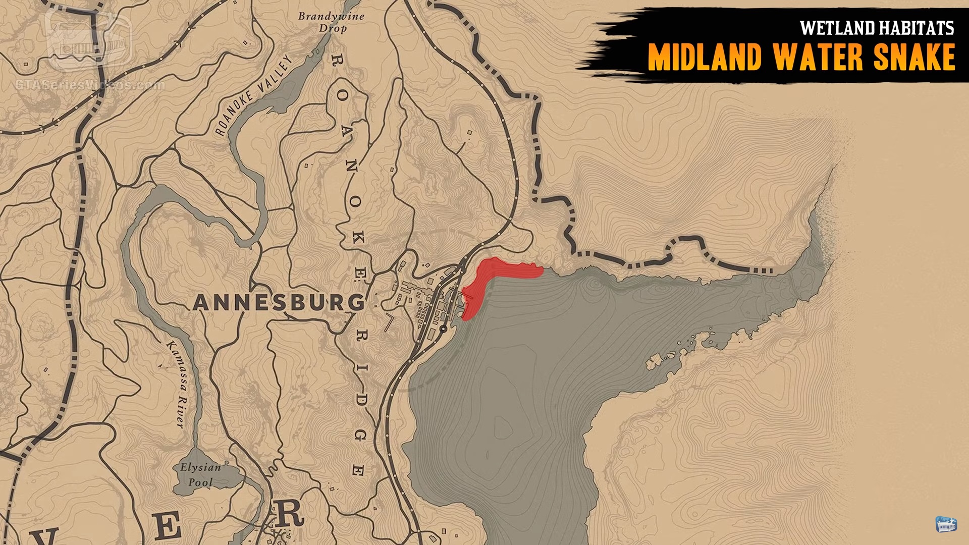 Гайд по поиску обитателей болот в Red Dead Online