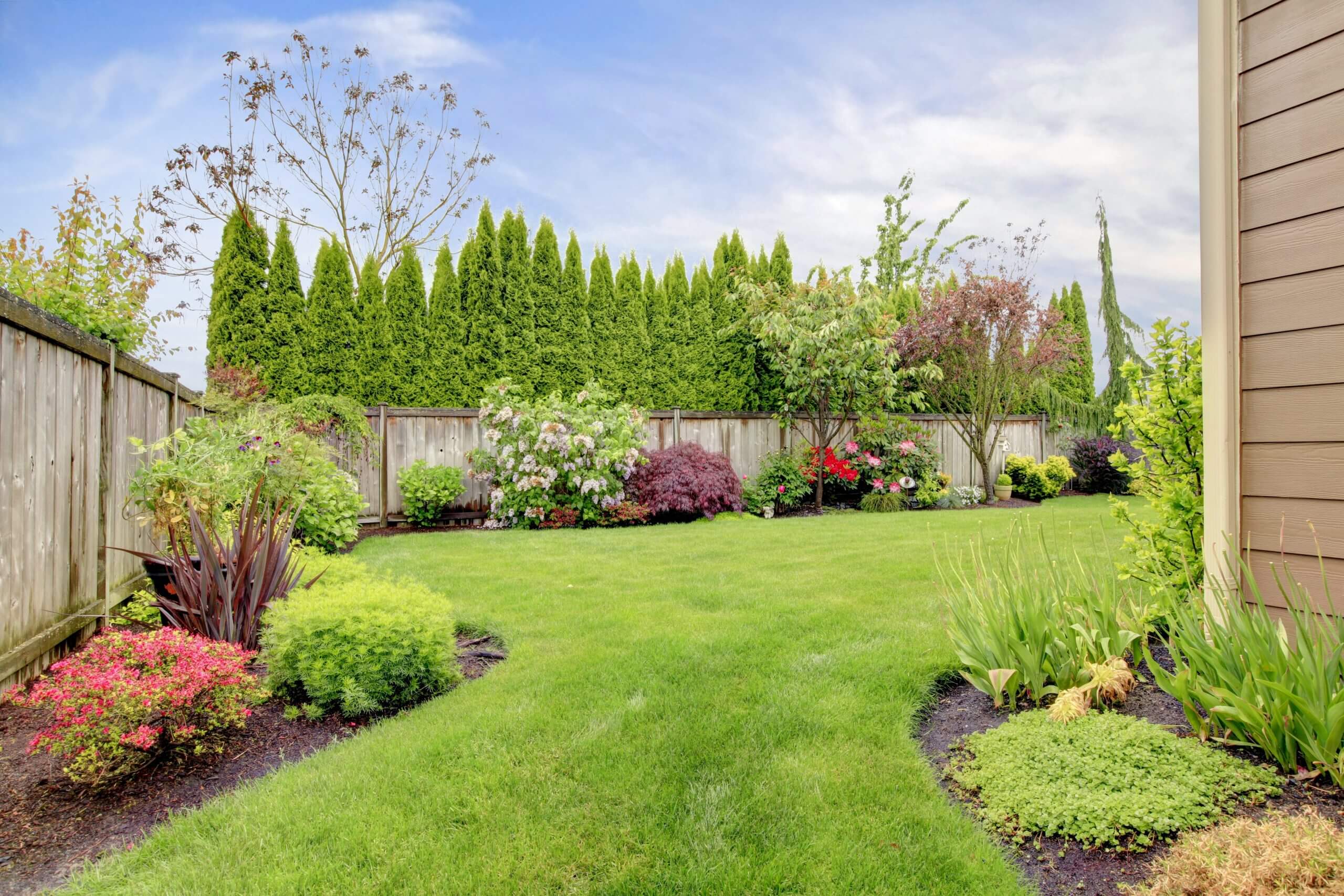 How Do I Landscape My Yard for Privacy?