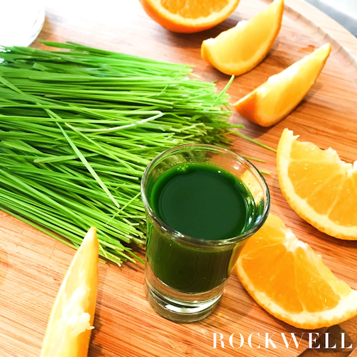 10 Reasons To Drink Wheatgrass Rockwell