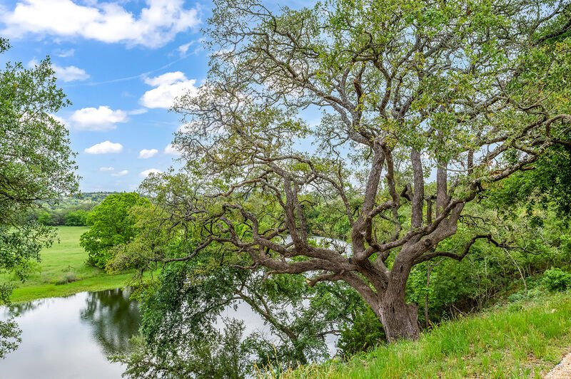 Gallery Rockwood Waters Bed & Breakfast