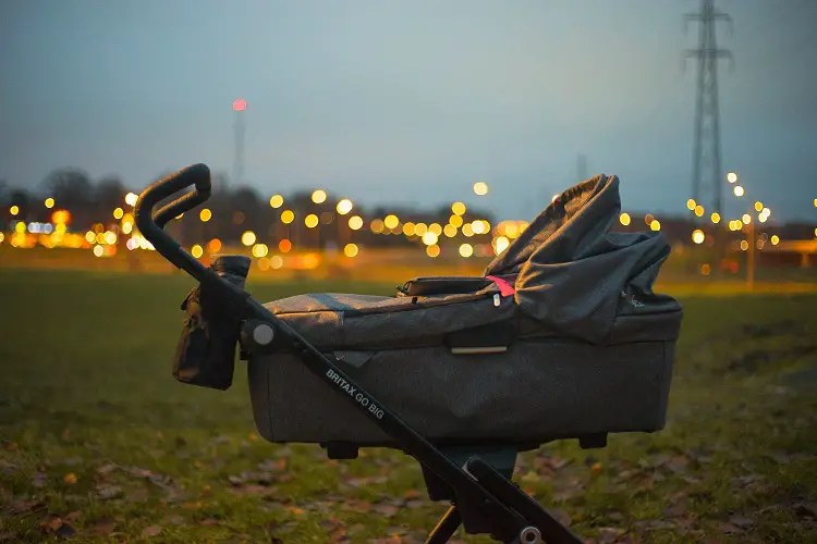 How Old Is Too Old For A Stroller (Explained)