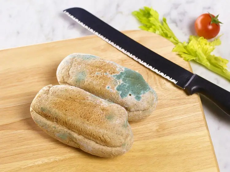 What Happens If a Baby Eats Mold (5 Helpful Tips)