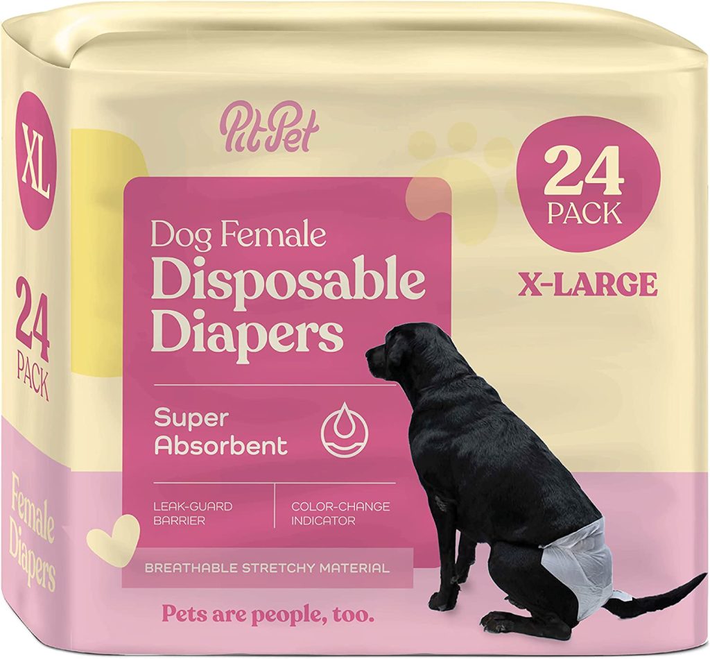 What Are the Best Diapers for Dogs in Heat? Rocky Kanaka