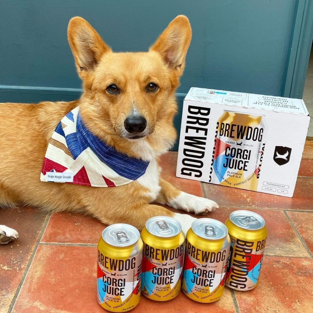 8 DogFriendly Restaurants in Pittsburgh Rocky Kanaka