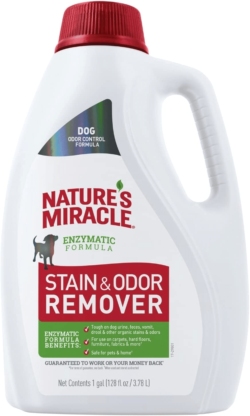 The Best Enzyme Cleaner for Dog Urine Rated Rocky Kanaka