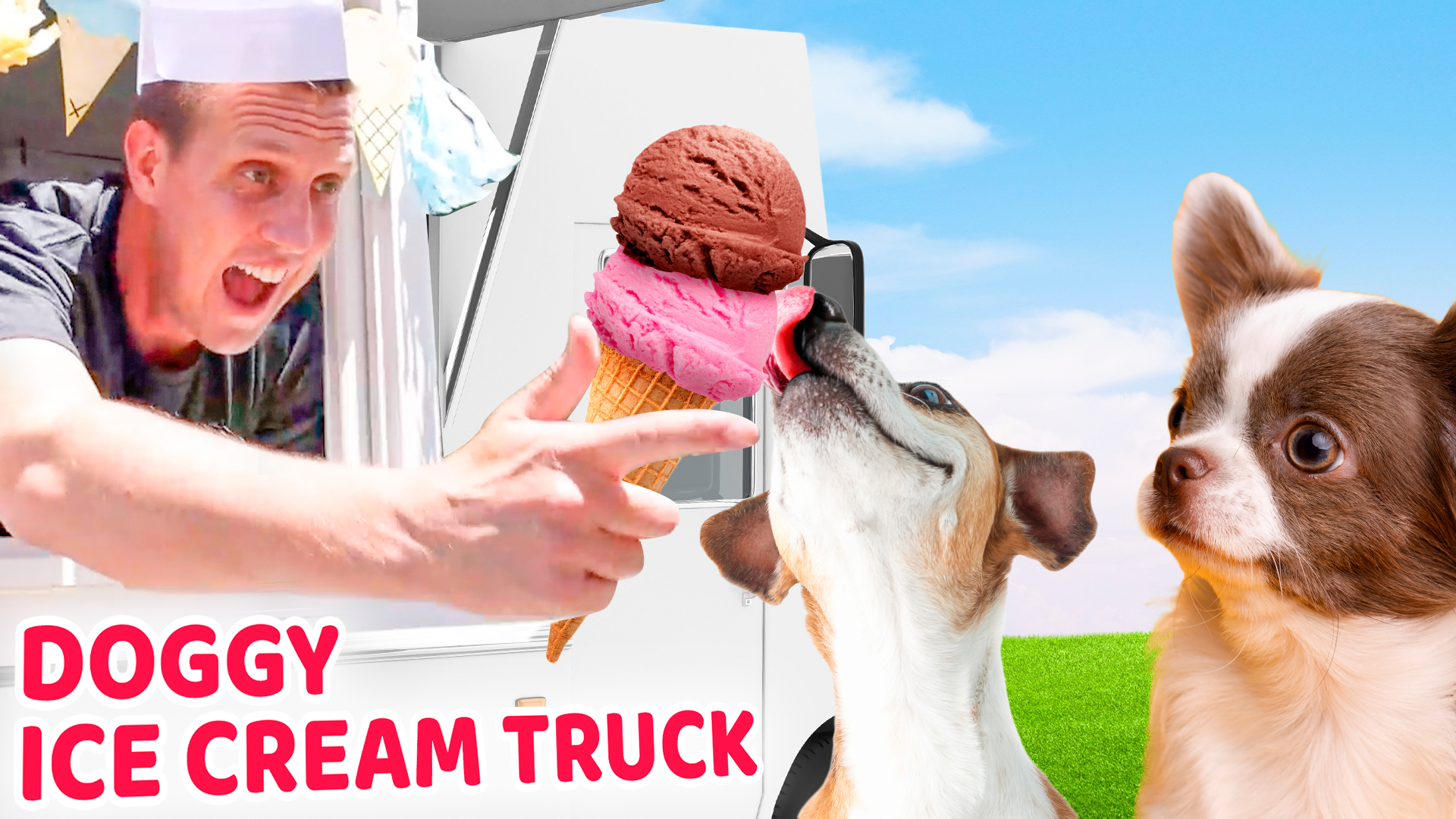We made an Ice Cream Truck for Dogs to Help Save this Shelter Dog