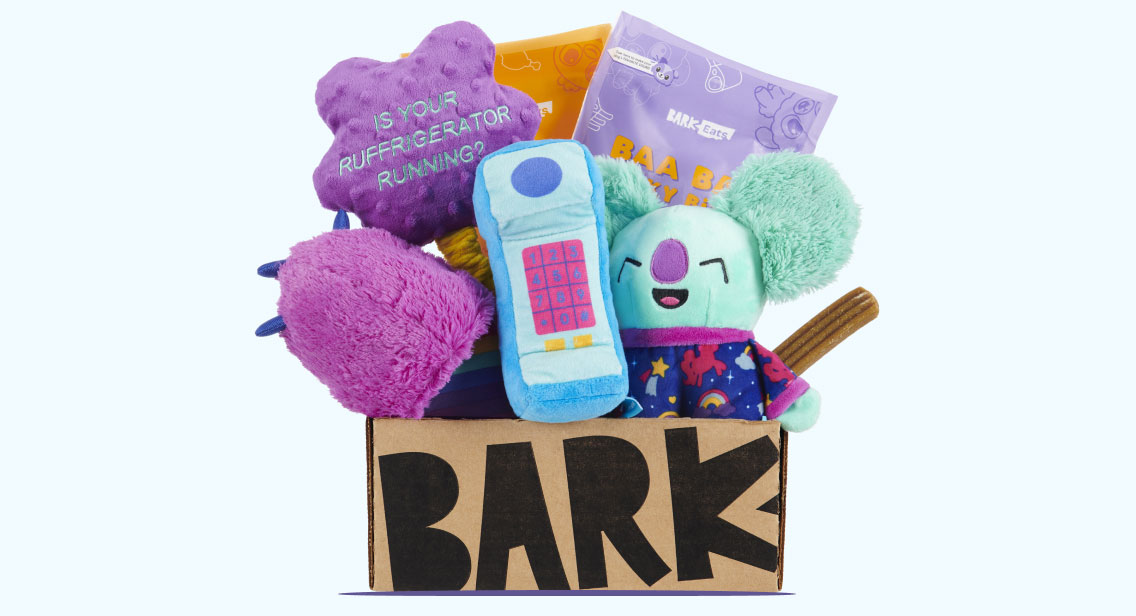 7 Best Toys For Maltese, According To An Expert Rocky Kanaka