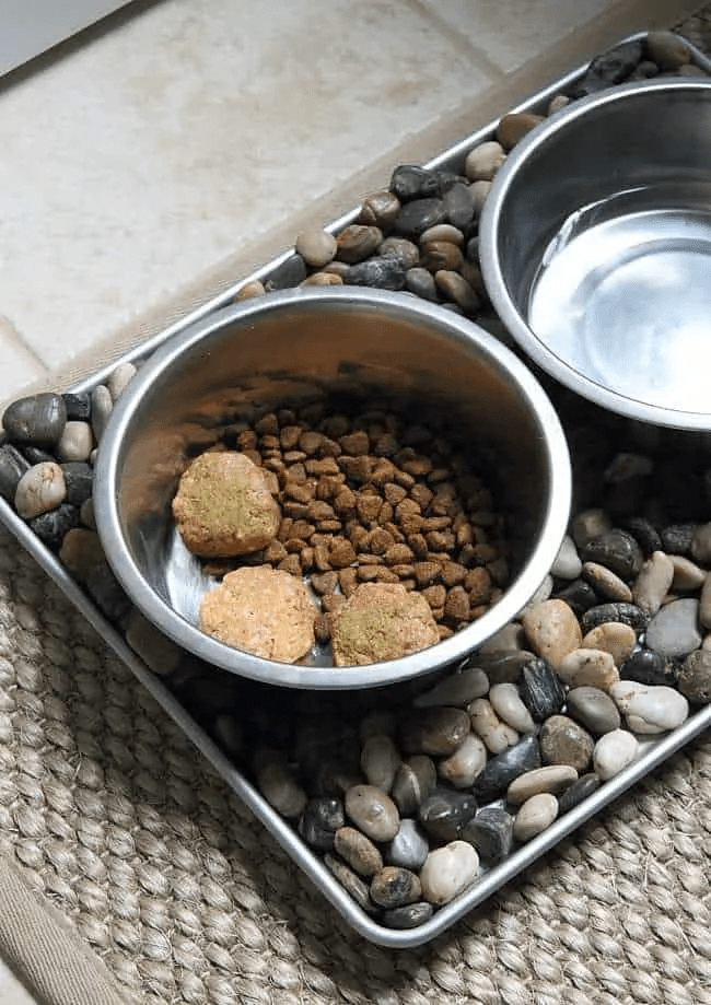 4 Raw Dog Food Recipes You Can Make At Home Rocky Kanaka