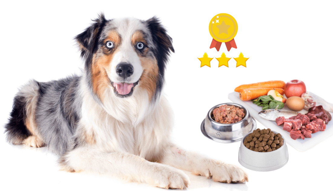 6 Biologically Appropriate Dog Foods for Australian Shepherds Rocky