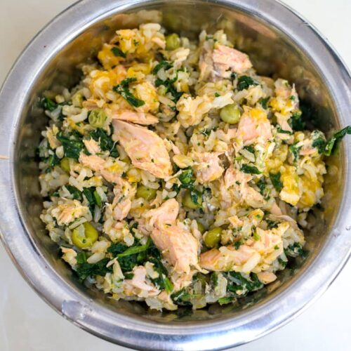 4 Best AllergyFriendly Homemade Dog Food Recipes Rocky Kanaka