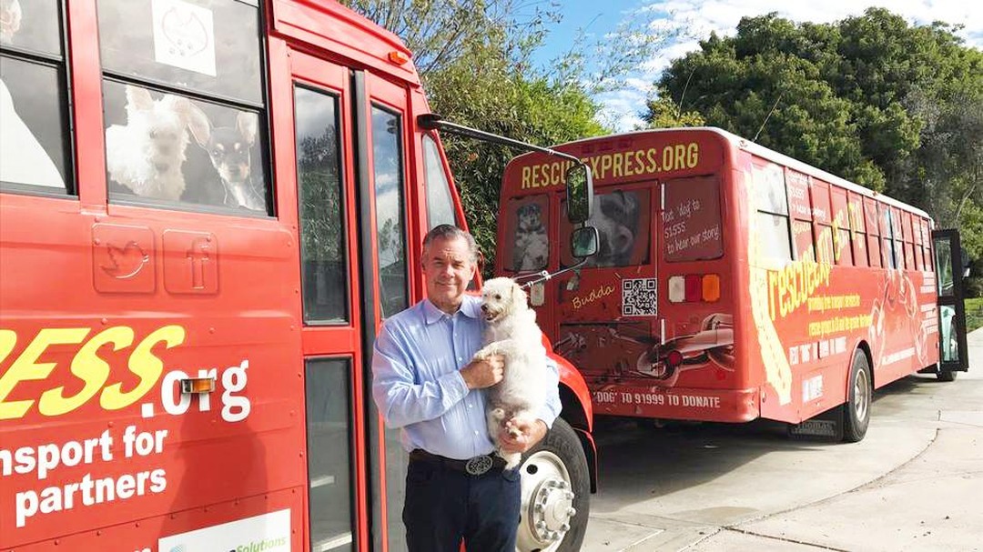 These Heroes Are Saving Dogs From HighKill Shelters, One Trip at a