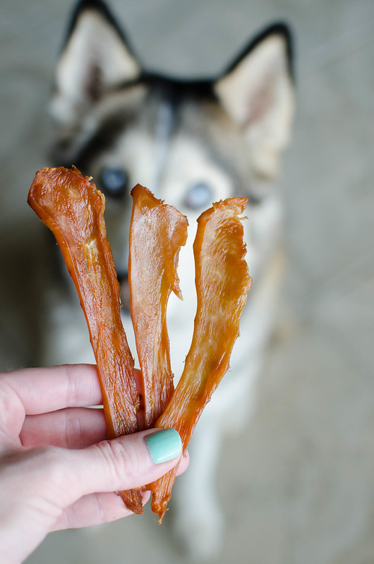 ProteinPacked Snack Hack 4 Homemade Chicken Jerky Recipes for Your