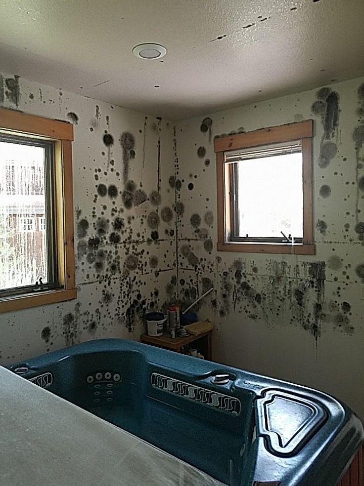 moldcleanup Water Damage Restoration Services Rocky Mountain Restore