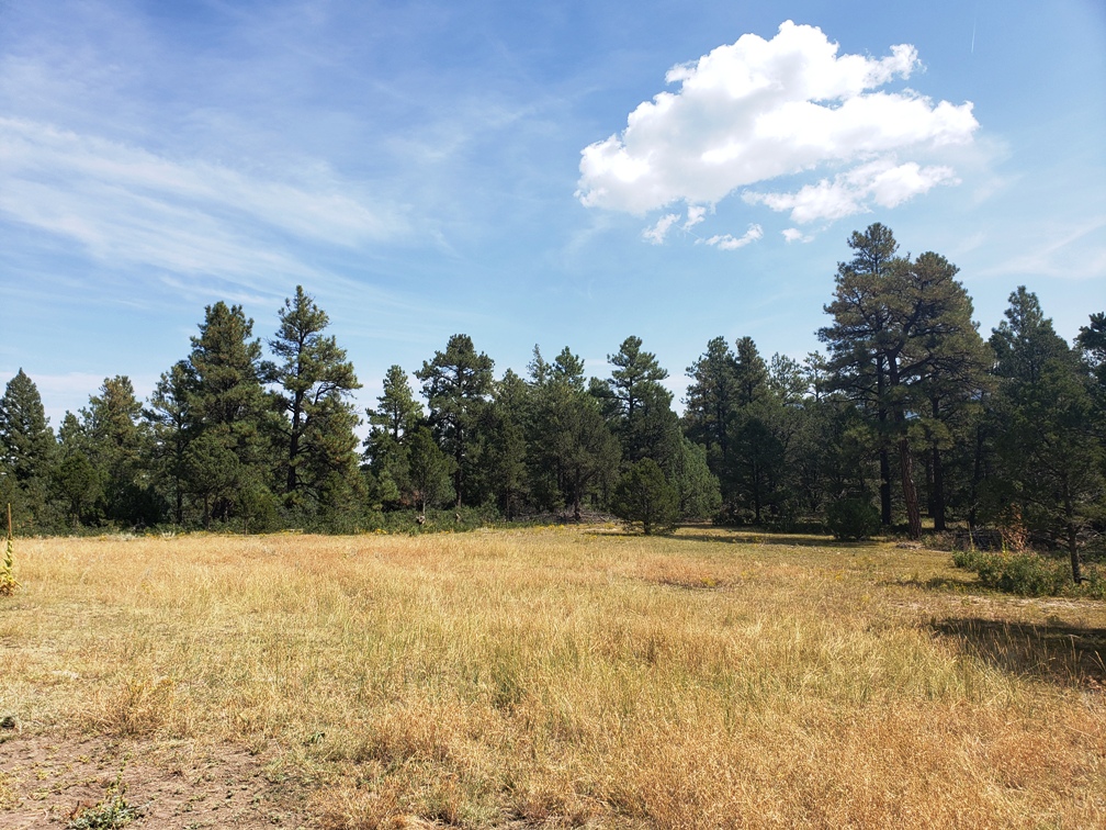 Parcel B52 Log Home Spanish Peaks Land Company