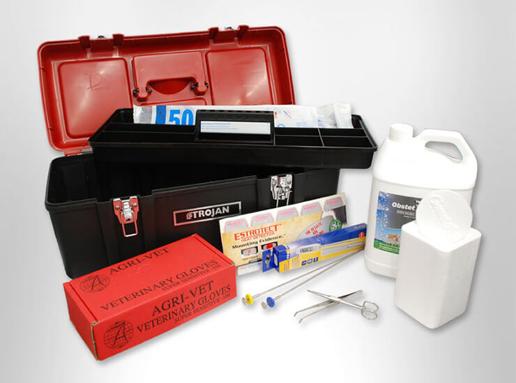 Ai Supplies Rocky Repro