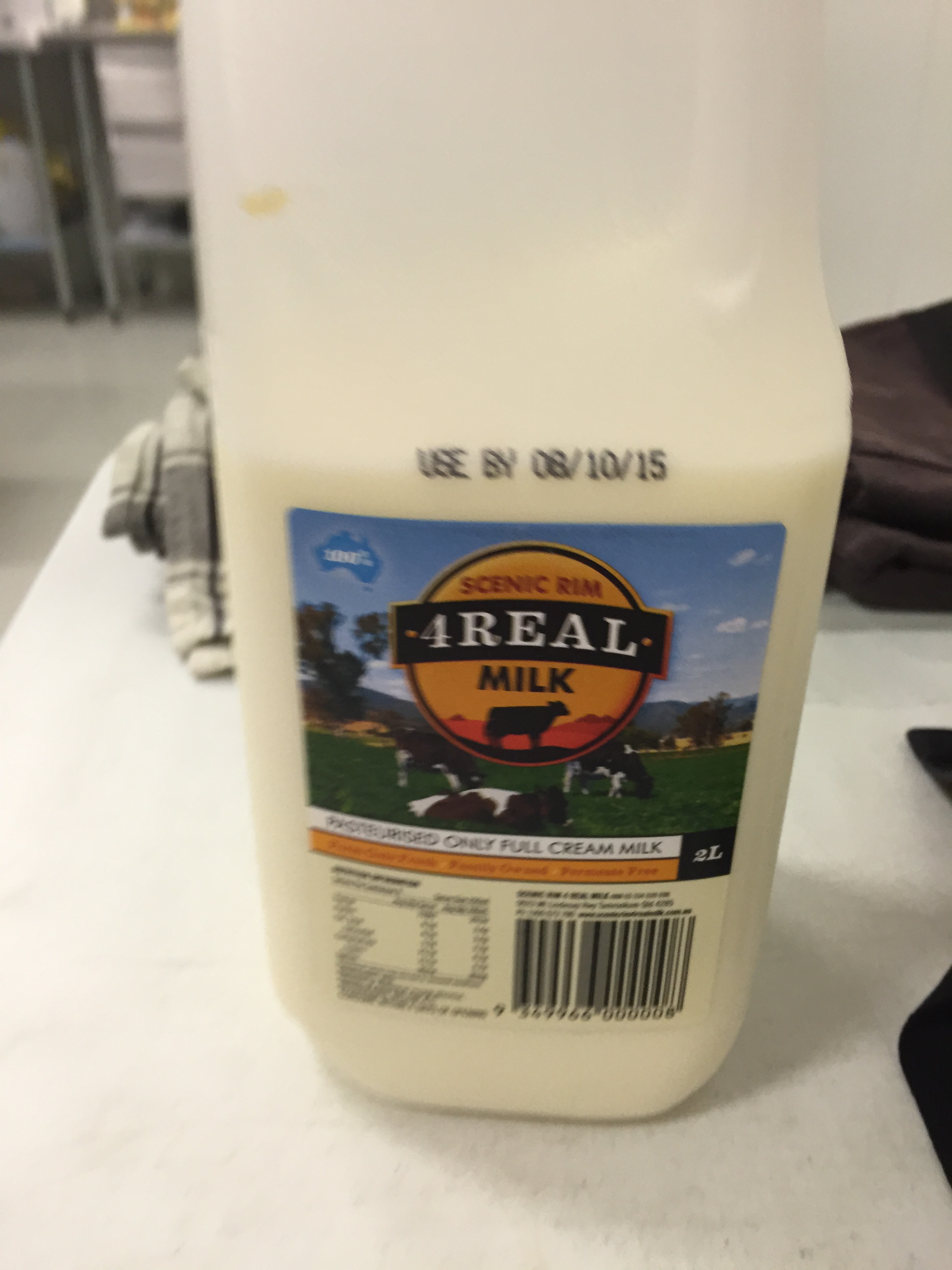 24 Learn to make cheese RockyRobyn