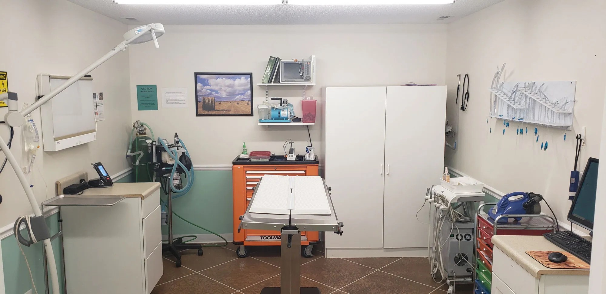 Surgical Services Rocky Top Veterinary Hospital