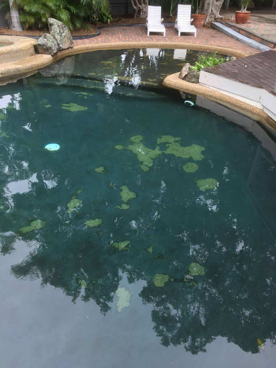 Case Study The View Hotel Rod Cameron Pools