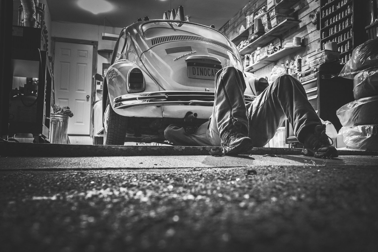 How To Prevent Rats Getting In Your Car - 6 Tips - DIY Rodent Control