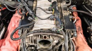 How To Keep Mice Out Of Your Car Engine Compartment - DIY Rodent Control