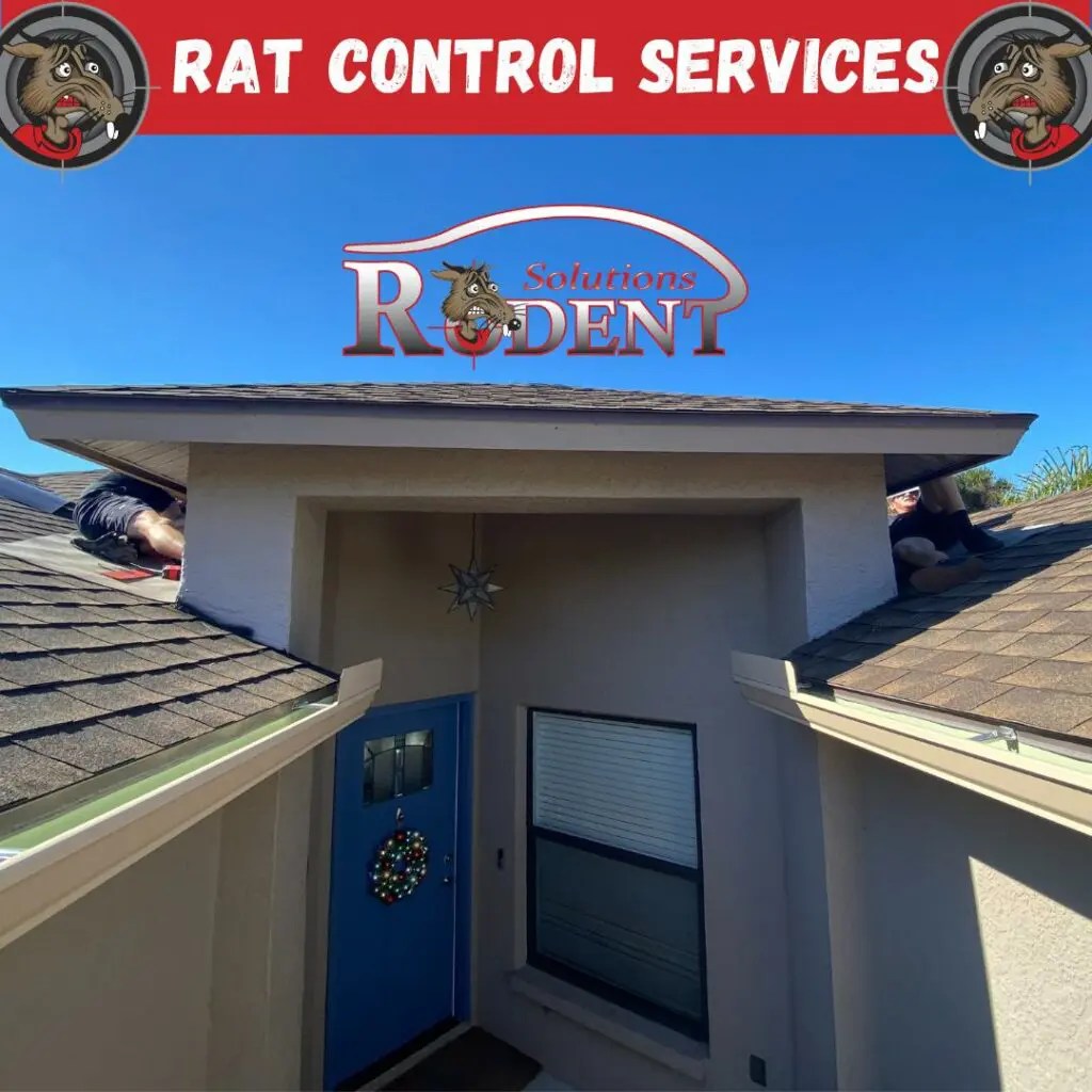 Rat Control Rodent Solutions Inc.