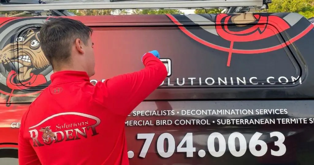 How Can I Find the Best Exterminators Near Me?