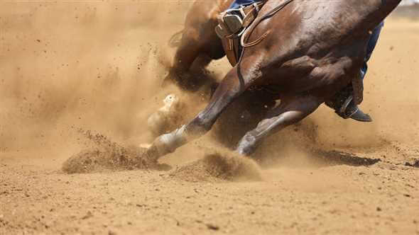 Houston Rodeo 2023 Events Rodeo Houston 2023 Tickets Live in March 2023!