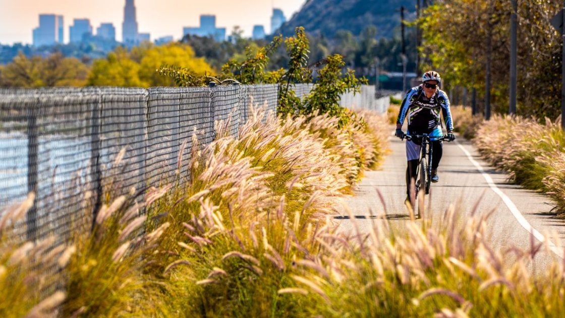 The Best Bike Trails in LA Rodeo Realty