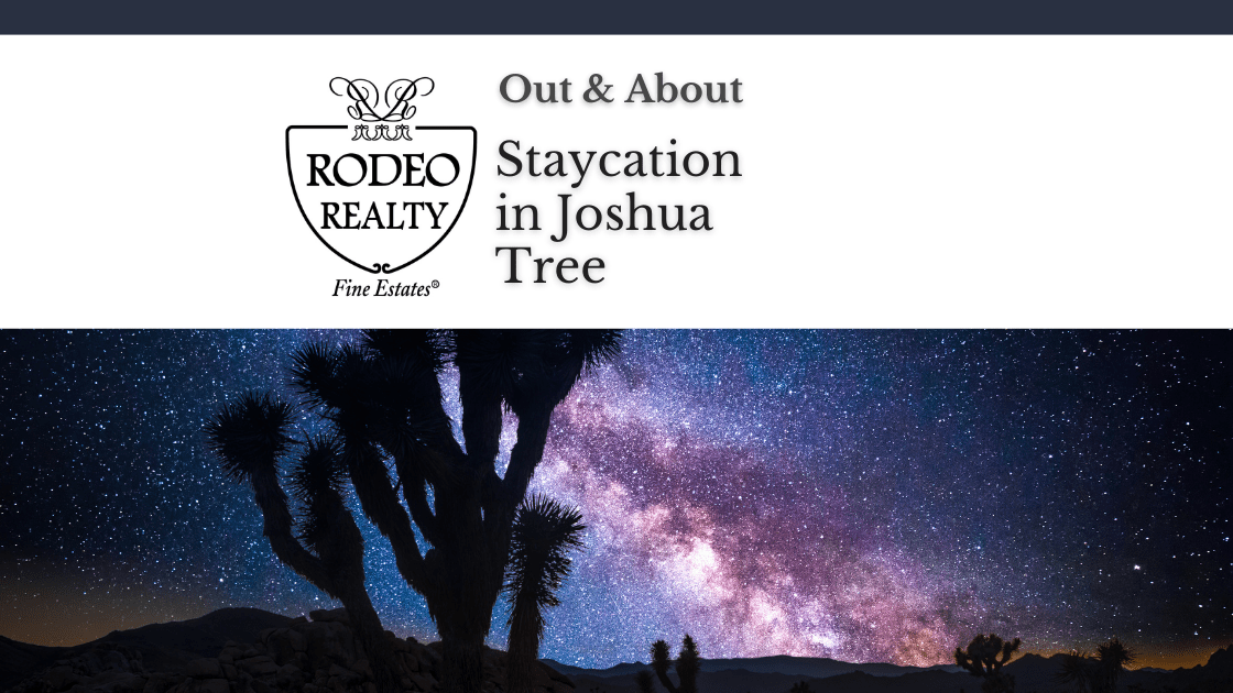 Staycation in Joshua Tree Out & About Rodeo Realty