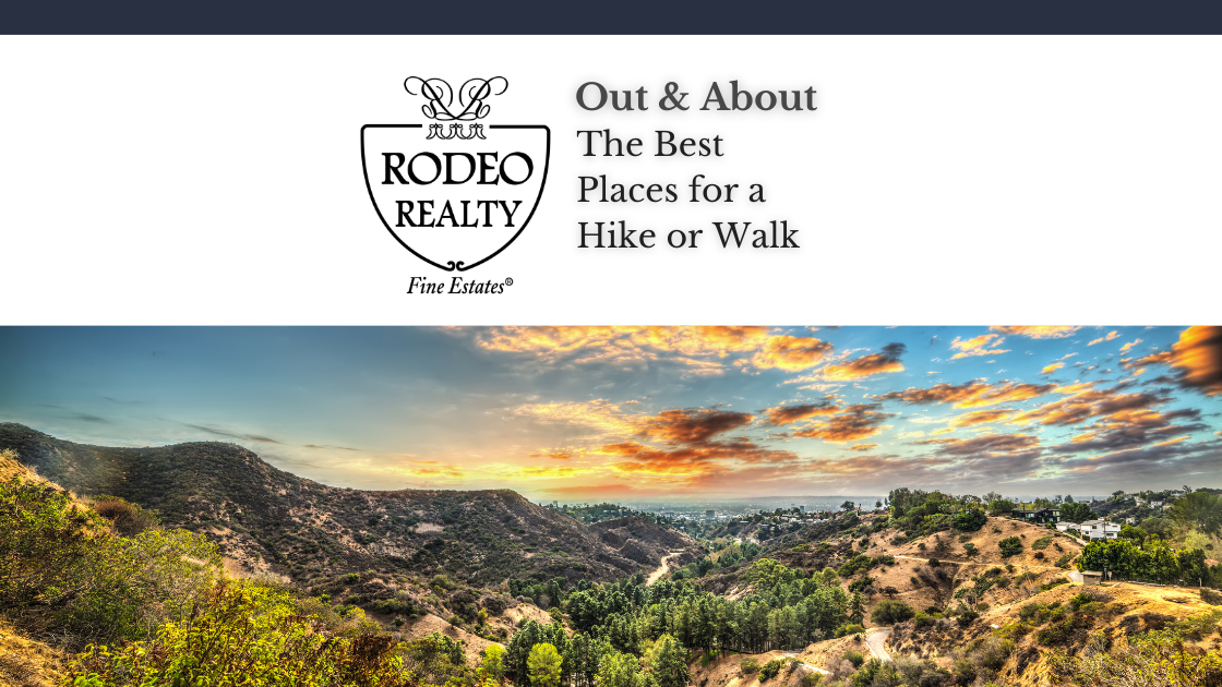 Homes for Sale Rodeo Realty