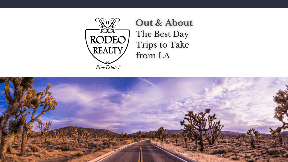Homes for Sale Rodeo Realty