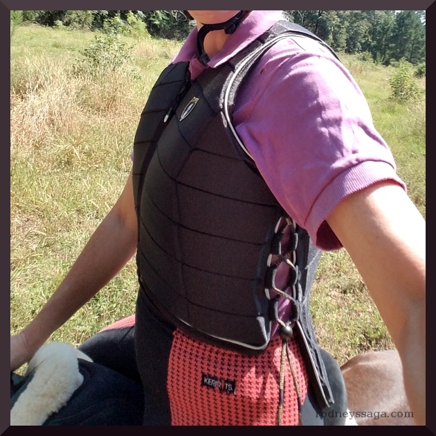 New Equipment Rodney Tests The Vest Virtual Brush Box